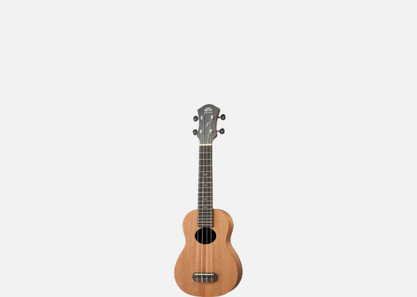 aNueNue TM1 | 21吋小彩虹TM系列烏克麗麗