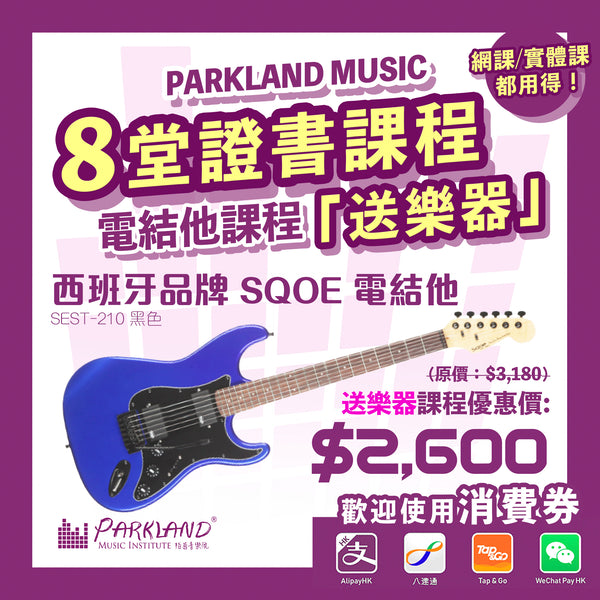 Electric Guitar Lessons