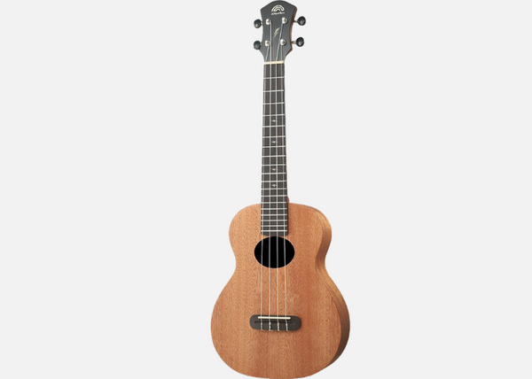 aNueNue TM3 | 26吋小彩虹TM系列烏克麗麗