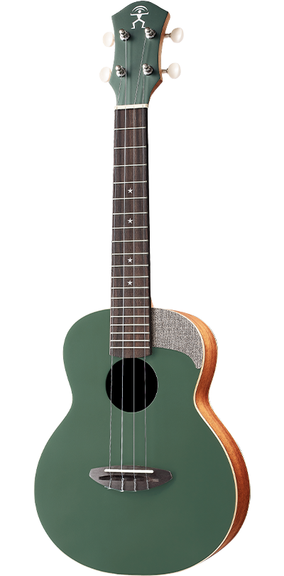 aNueNue LC-10| 23吋色彩系列旅行小結他