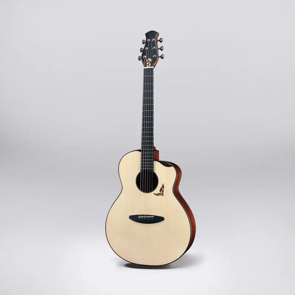 aNueNue LS Seiji Igusa |  aNueNue x 井草聖二 x 杉田健司 41吋全單木吉他