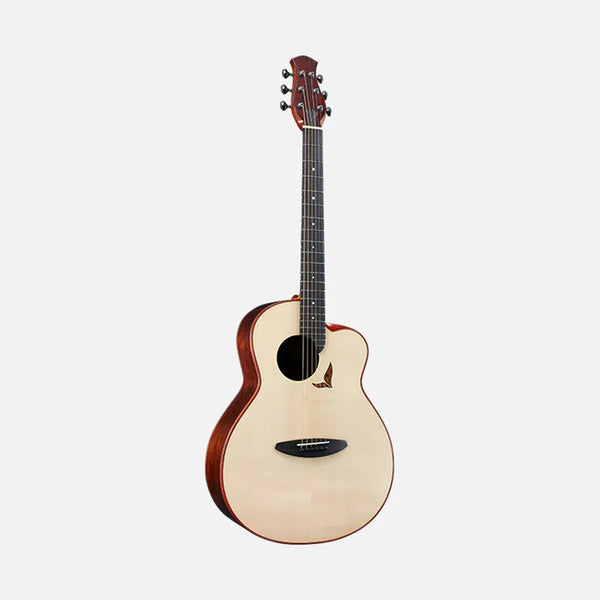 aNueNue LS800 |  aNueNue x 杉田健司 吉他未來系列木吉他