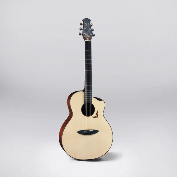 aNueNue LS Seiji Igusa |  aNueNue x 井草聖二 x 杉田健司 41吋全單木吉他