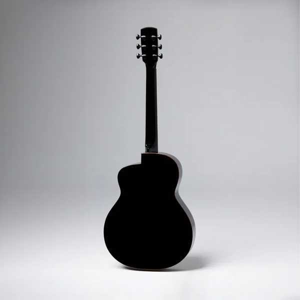 aNueNue L77E | 41吋薄桶吉他