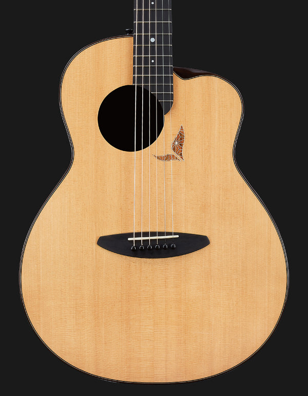 aNueNue LS770 |  aNueNue x 杉田健司 吉他未來系列木吉他