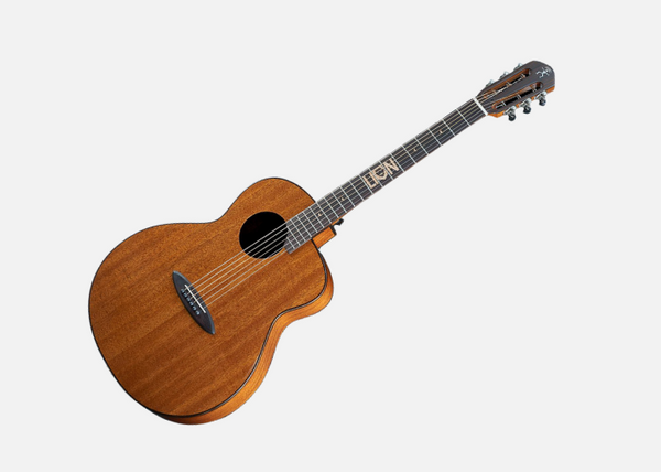 aNueNue LMGT | aNueNue x 獅子LION樂團聯名吉他