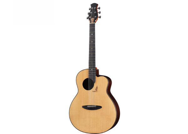 aNueNue LS770 |  aNueNue x 杉田健司 吉他未來系列木吉他