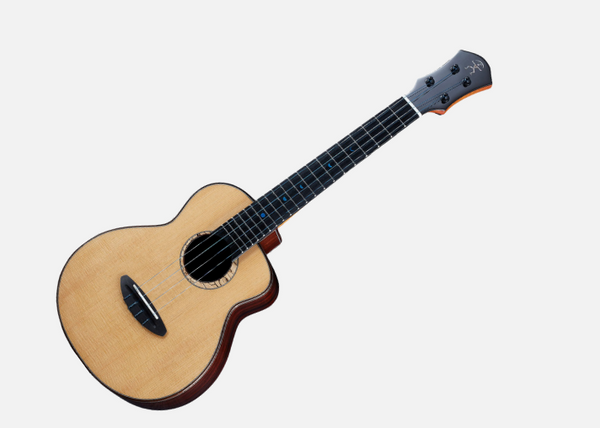 aNueNue UT330 |  26吋藍月亮鳥系列烏克麗麗