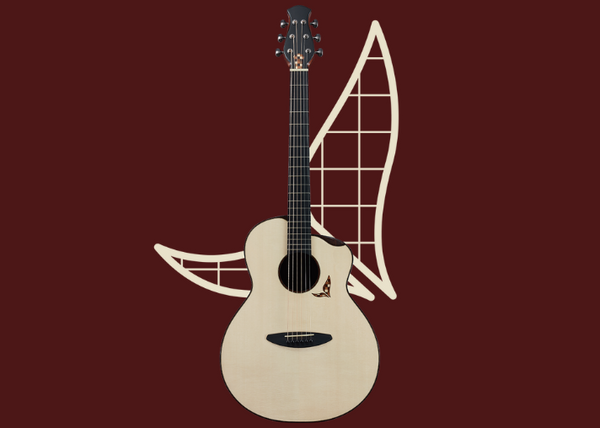 aNueNue LS Seiji Igusa |  aNueNue x 井草聖二 x 杉田健司 41吋全單木吉他