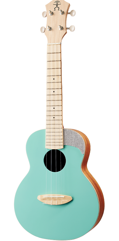 aNueNue LC-10| 23吋色彩系列旅行小結他