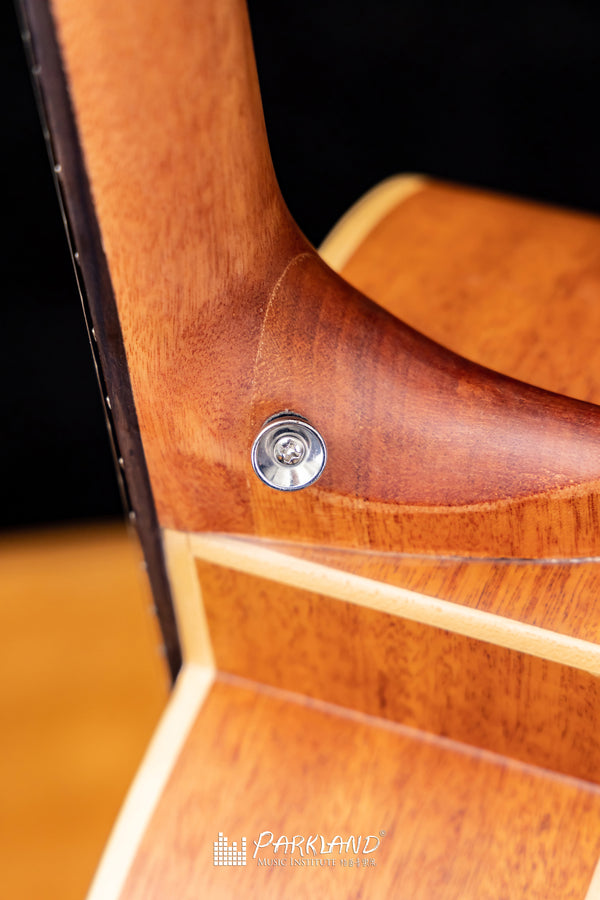 【BACK TO SCHOOL 優惠】aNueNue MC10 台灣旅行結他〚優惠套裝〛