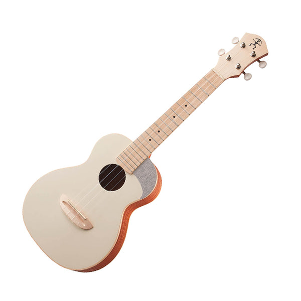 aNueNue LC-10| 23吋色彩系列旅行小結他