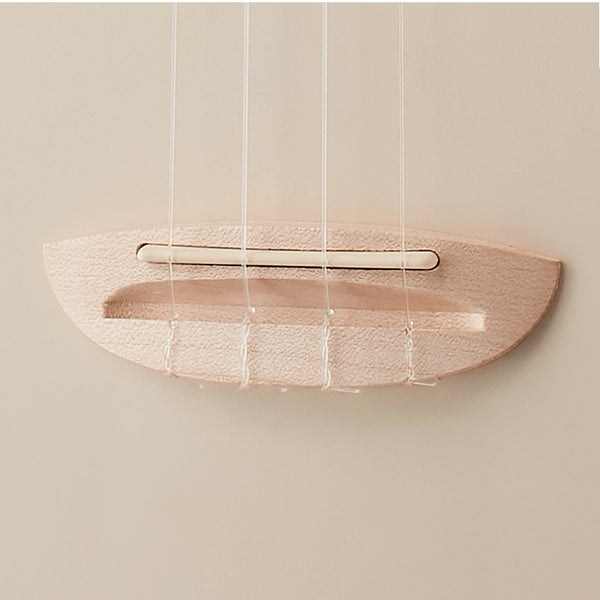 aNueNue LC-10| 23吋色彩系列旅行小結他