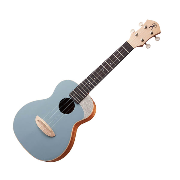 aNueNue LC-10| 23吋色彩系列旅行小結他