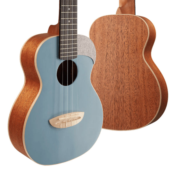 aNueNue LC-10| 23吋色彩系列旅行小結他