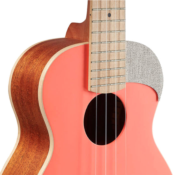 aNueNue LC-10| 23吋色彩系列旅行小結他