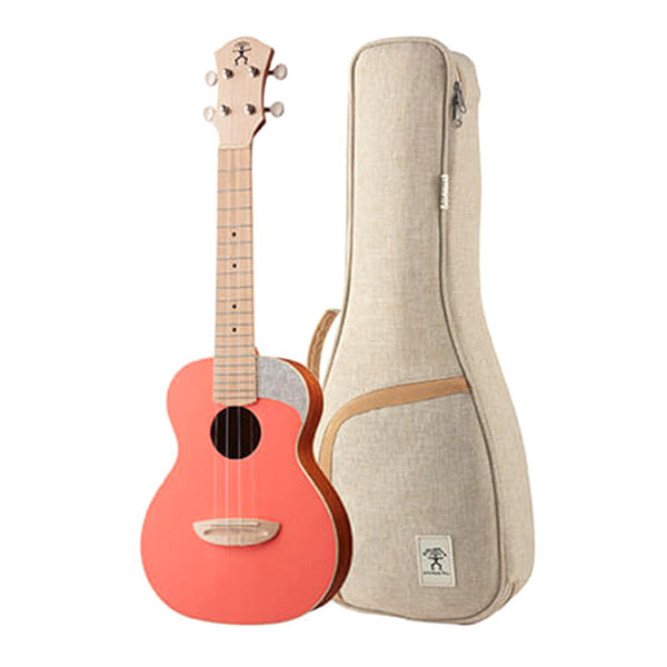 aNueNue LC-10| 23吋色彩系列旅行小結他