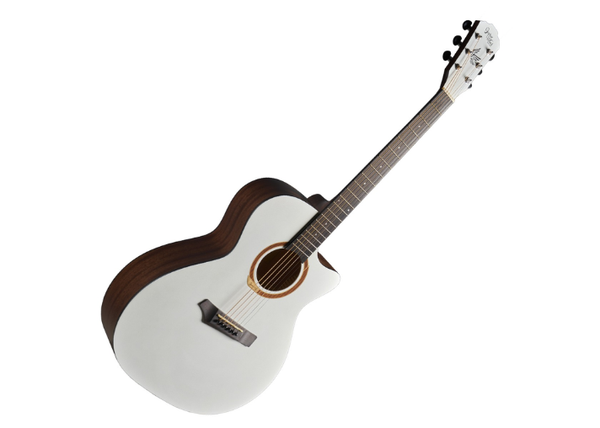 【聖誕優惠】Gopherwood i320C | 40吋GA桶面單木吉他