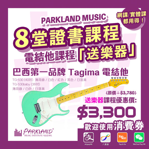 <transcy>Electric Guitar Course</transcy>