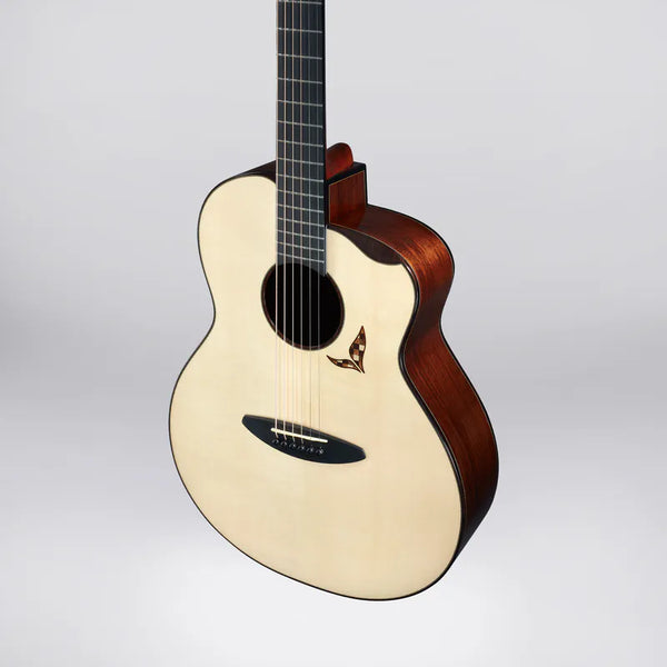 aNueNue LS Seiji Igusa | aNueNue x Ikusa Seiji x Kenji Sugita 41-inch full single guitar