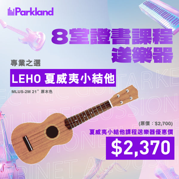 夏威夷小結他課程