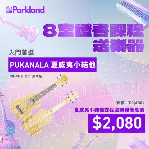 夏威夷小結他課程