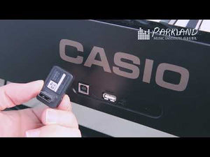 Casio S1100 black 黑色 琴 片